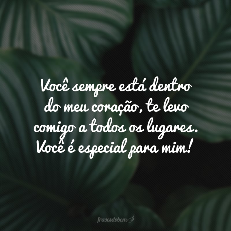 Você sempre está dentro do meu coração, te levo comigo a todos os lugares. Você é especial para mim!