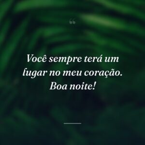 Você sempre terá um lugar no meu coração. Boa noite!