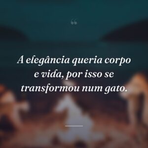 A elegância queria corpo e vida, por isso se transformou num gato.