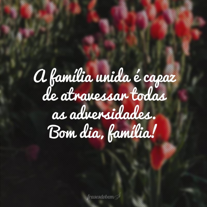 A família unida é capaz de atravessar todas as adversidades. Bom dia, família!