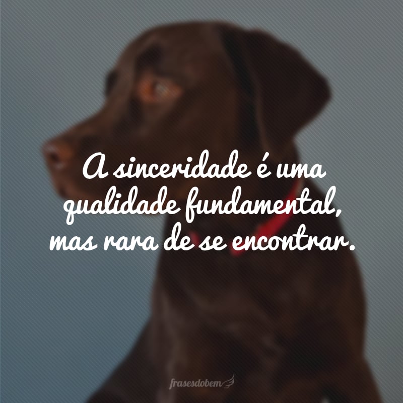 A sinceridade é uma qualidade fundamental, mas rara de se encontrar.