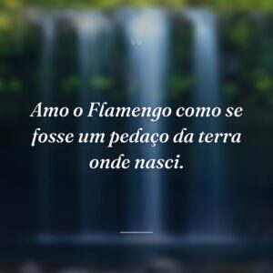 Amo o Flamengo como se fosse um pedaço da terra onde nasci.