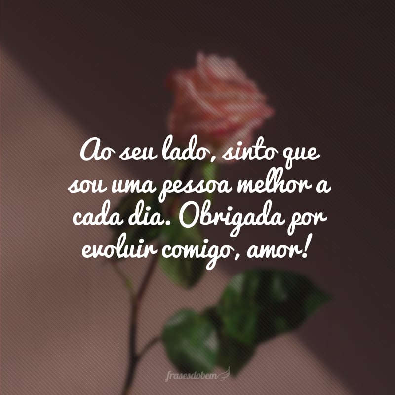 Ao seu lado, sinto que sou uma pessoa melhor a cada dia. Obrigada por evoluir comigo, amor!