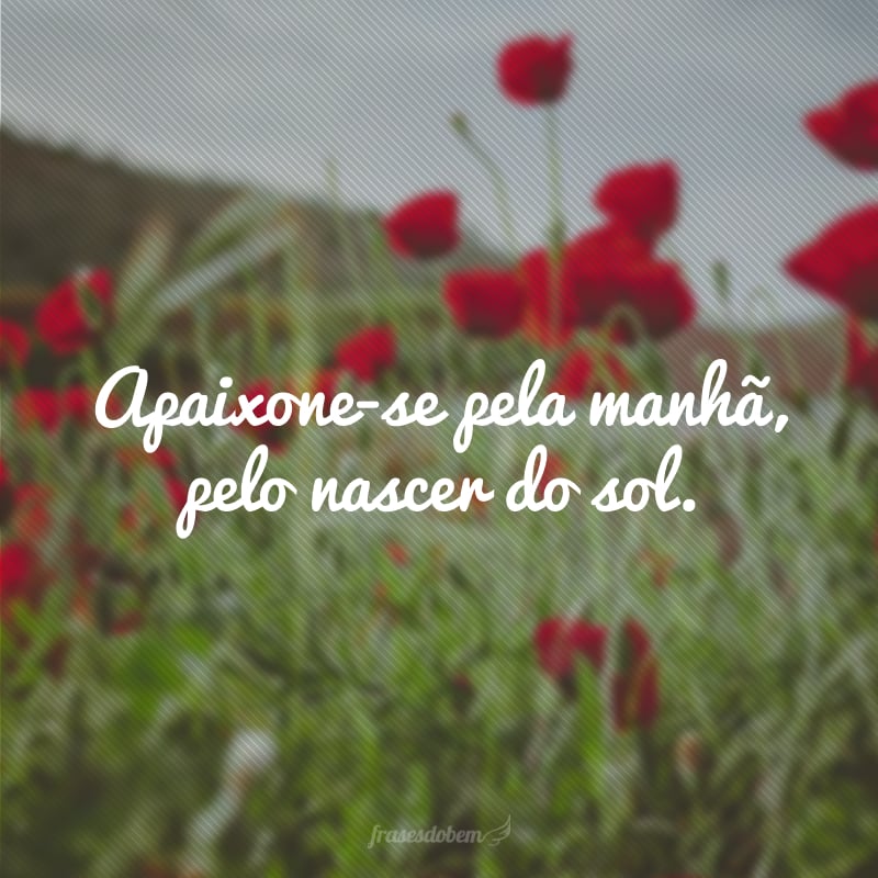 Apaixone-se pela manhã, pelo nascer do sol.