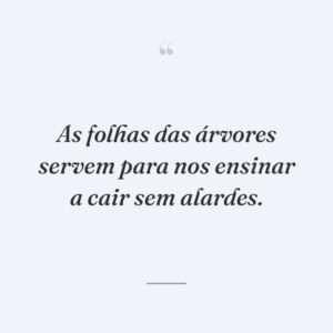 As folhas das árvores servem para nos ensinar a cair sem alardes.