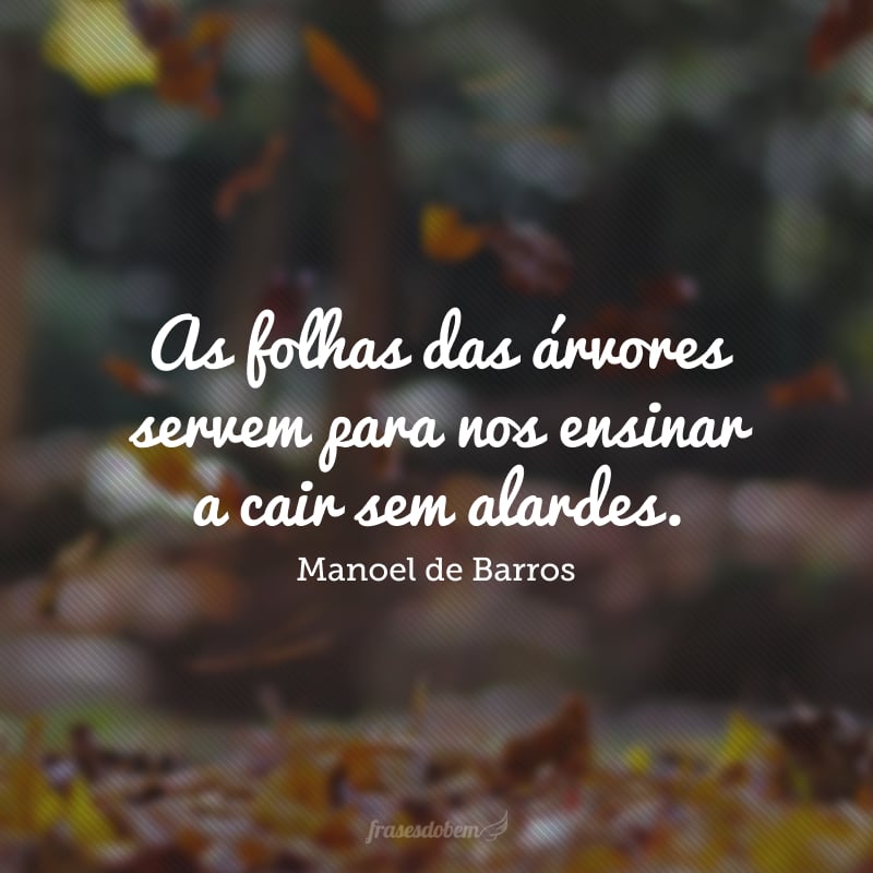 As folhas das árvores servem para nos ensinar a cair sem alardes.