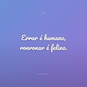 Errar é humano, ronronar é felino.