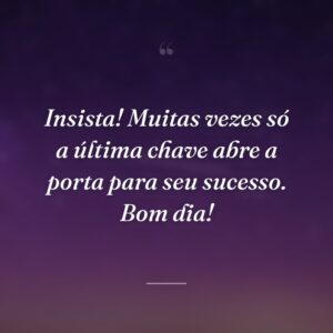 Insista! Muitas vezes só a última chave abre a porta para seu sucesso. Bom dia!