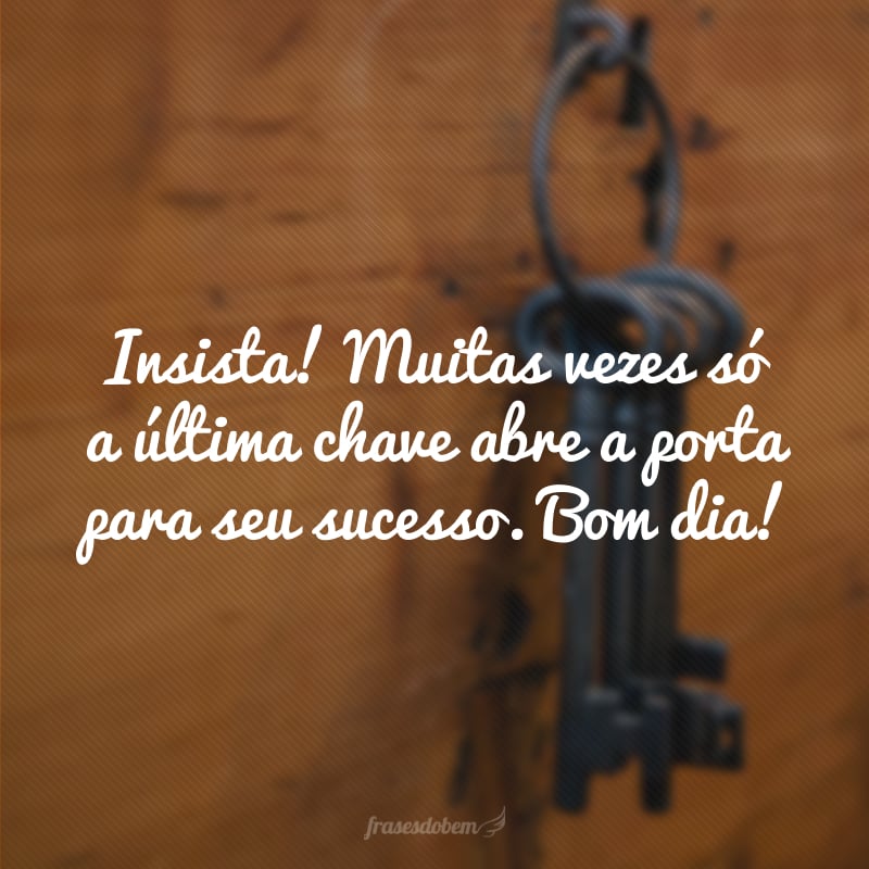 Insista! Muitas vezes só a última chave abre a porta para seu sucesso. Bom dia!