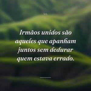 Irmãos unidos são aqueles que apanham juntos sem dedurar quem estava errado.