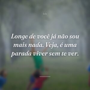 Longe de você já não sou mais nada. Veja, é uma parada viver sem te ver.