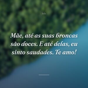 Mãe, até as suas broncas são doces. E até delas, eu sinto saudades. Te amo!