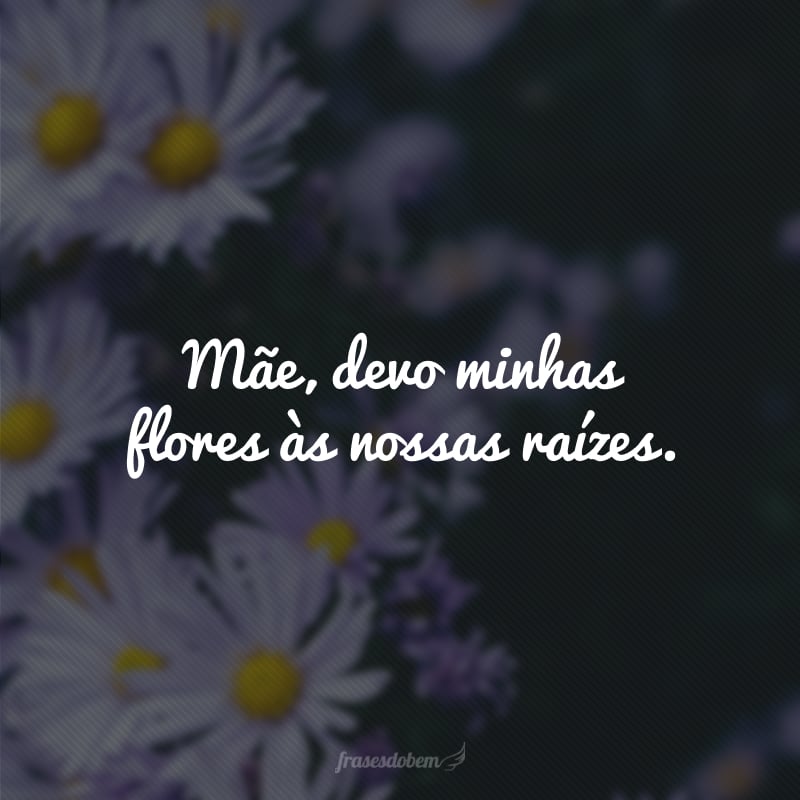 Mãe, devo minhas flores às nossas raízes.