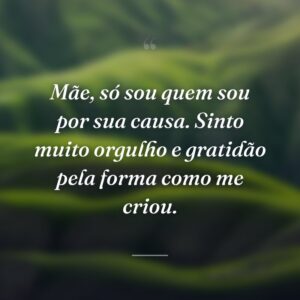 Mãe, só sou quem sou por sua causa. Sinto muito orgulho e gratidão pela forma como me criou.