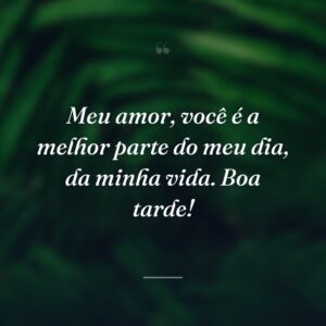 Meu amor, você é a melhor parte do meu dia, da minha vida. Boa tarde!