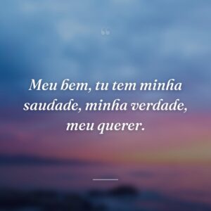 Meu bem, tu tem minha saudade, minha verdade, meu querer.