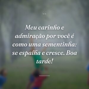 Meu carinho e admiração por você é como uma sementinha: se espalha e cresce. Boa tarde!