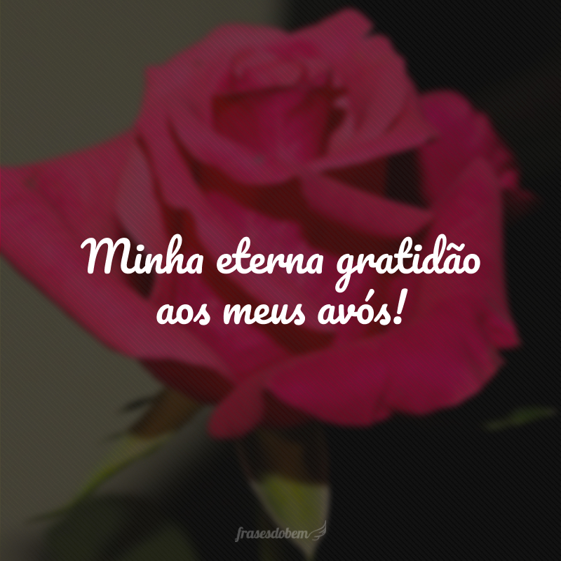 Minha eterna gratidão aos meus avós!