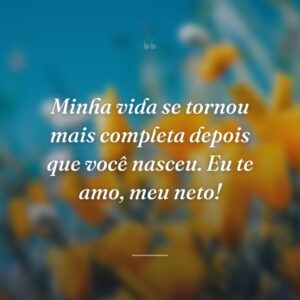 Minha vida se tornou mais completa depois que você nasceu. Eu te amo, meu neto!