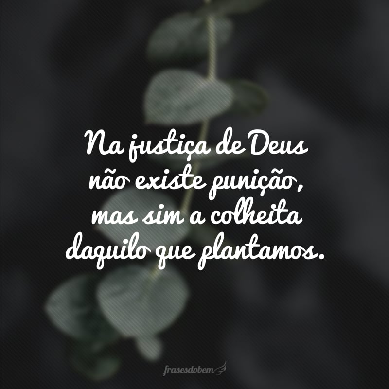 Na justiça de Deus não existe punição, mas sim a colheita daquilo que plantamos.