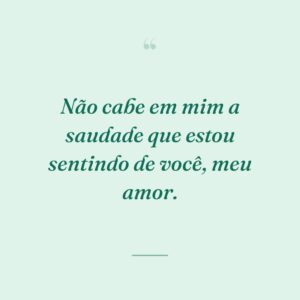 Não cabe em mim a saudade que estou sentindo de você, meu amor.