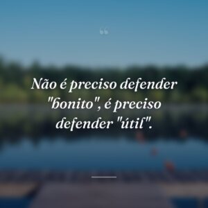 Não é preciso defender "bonito", é preciso defender "útil".