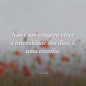 Não é um exagero viver a intensidade dos dias. É uma escolha.