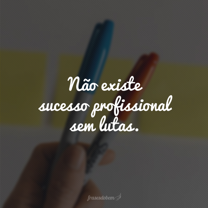 Não existe sucesso profissional sem lutas. 