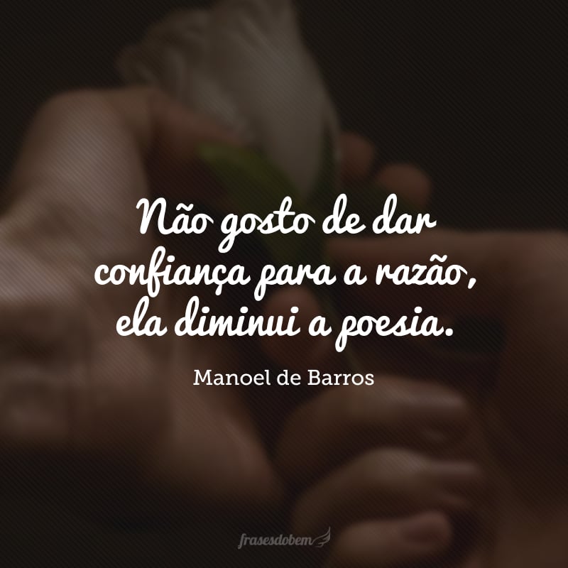 Não gosto de dar confiança para a razão, ela diminui a poesia.