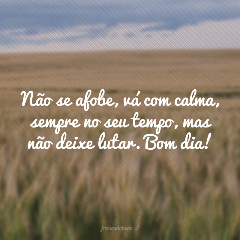 Não se afobe, vá com calma, sempre no seu tempo, mas não deixe lutar. Bom dia!