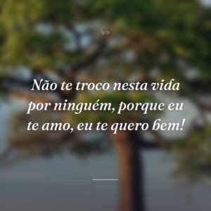 Não te troco nesta vida por ninguém, porque eu te amo, eu te quero bem!