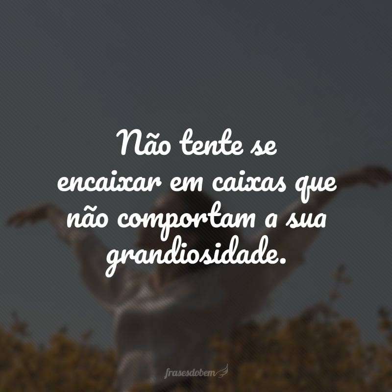 Não tente se encaixar em caixas que não comportam a sua grandiosidade.