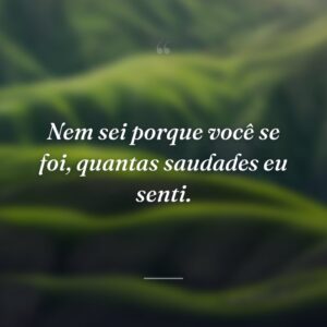 Nem sei porque você se foi, quantas saudades eu senti.