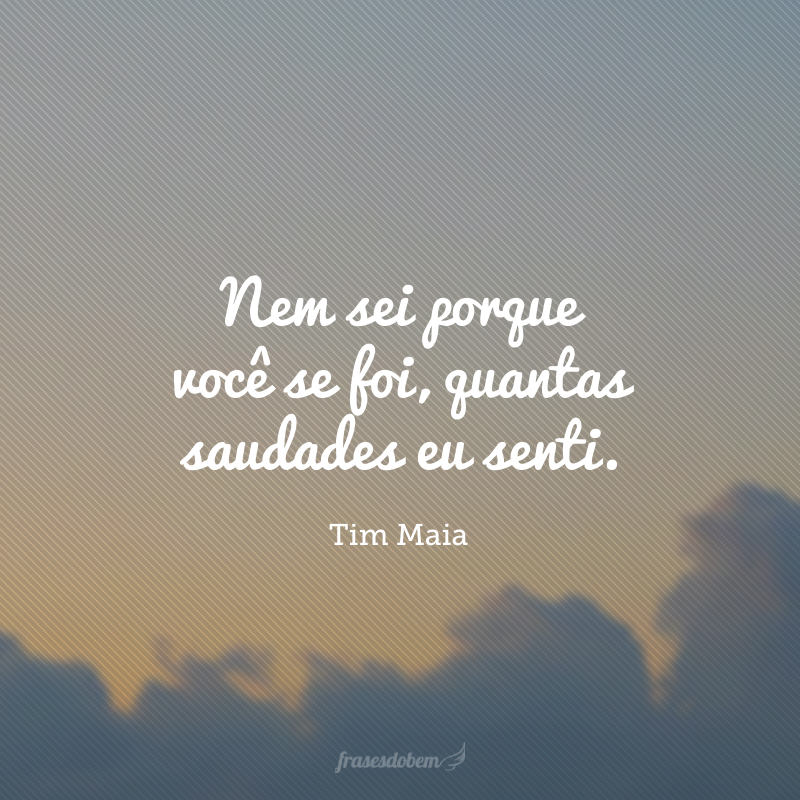 Nem sei porque você se foi, quantas saudades eu senti.