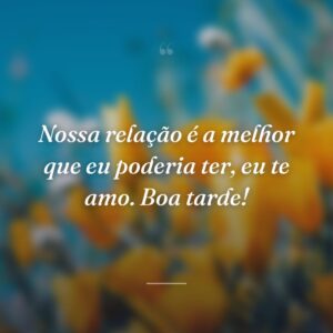 Nossa relação é a melhor que eu poderia ter, eu te amo. Boa tarde!