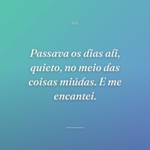 Passava os dias ali, quieto, no meio das coisas miúdas. E me encantei.