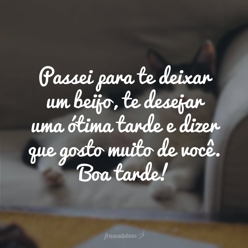 Passei para te deixar um beijo, te desejar uma ótima tarde e dizer que gosto muito de você. Boa tarde!