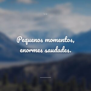 Pequenos momentos, enormes saudades.