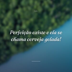 Perfeição existe e ela se chama cerveja gelada!