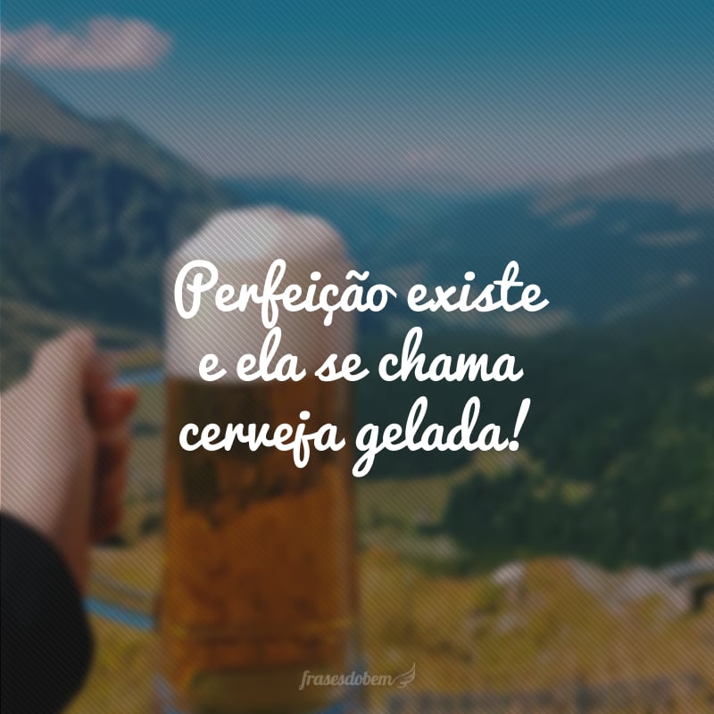 Perfeição existe e ela se chama cerveja gelada!