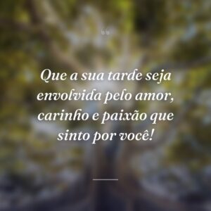 Que a sua tarde seja envolvida pelo amor, carinho e paixão que sinto por você!