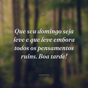 Que seu domingo seja leve e que leve embora todos os pensamentos ruins. Boa tarde!