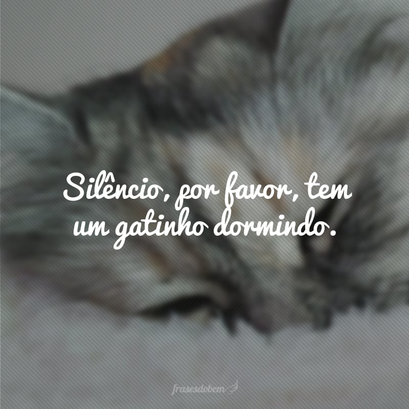 Silêncio, por favor, tem um gatinho dormindo.