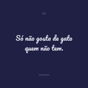 Só não gosta de gato quem não tem.