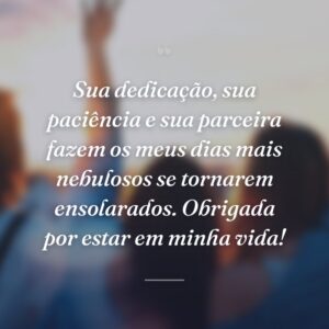 Sua dedicação, sua paciência e sua parceira fazem os meus dias mais nebulosos se tornarem ensolarados. Obrigada por estar em minha vida!