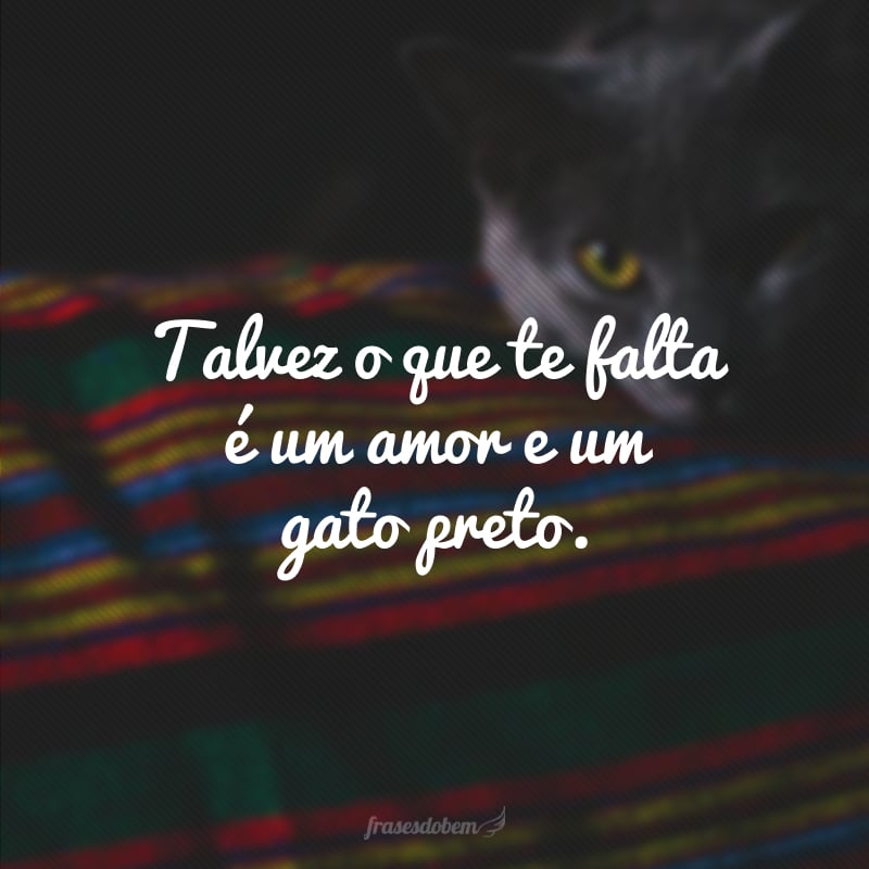 Talvez o que te falta é um amor e um gato preto.