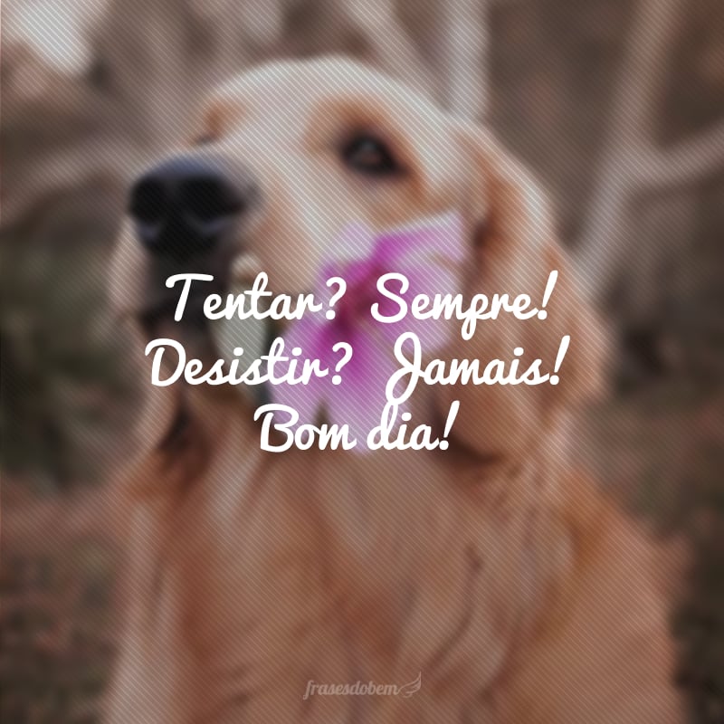 Tentar? Sempre! Desistir? Jamais! Bom dia!