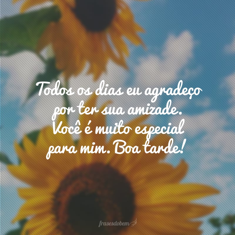 Todos os dias eu agradeço por ter sua amizade. Você é muito especial para mim. Boa tarde!