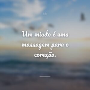 Um miado é uma massagem para o coração.
