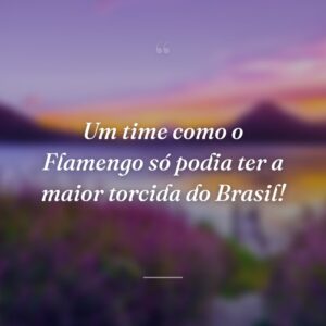 Um time como o Flamengo só podia ter a maior torcida do Brasil!